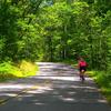 Another beautiful road in Bicycle Heaven.